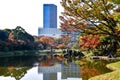 Koishikawa Korakuen Garden of Tokyo, Japan, During Autumn Royalty Free Stock Photo